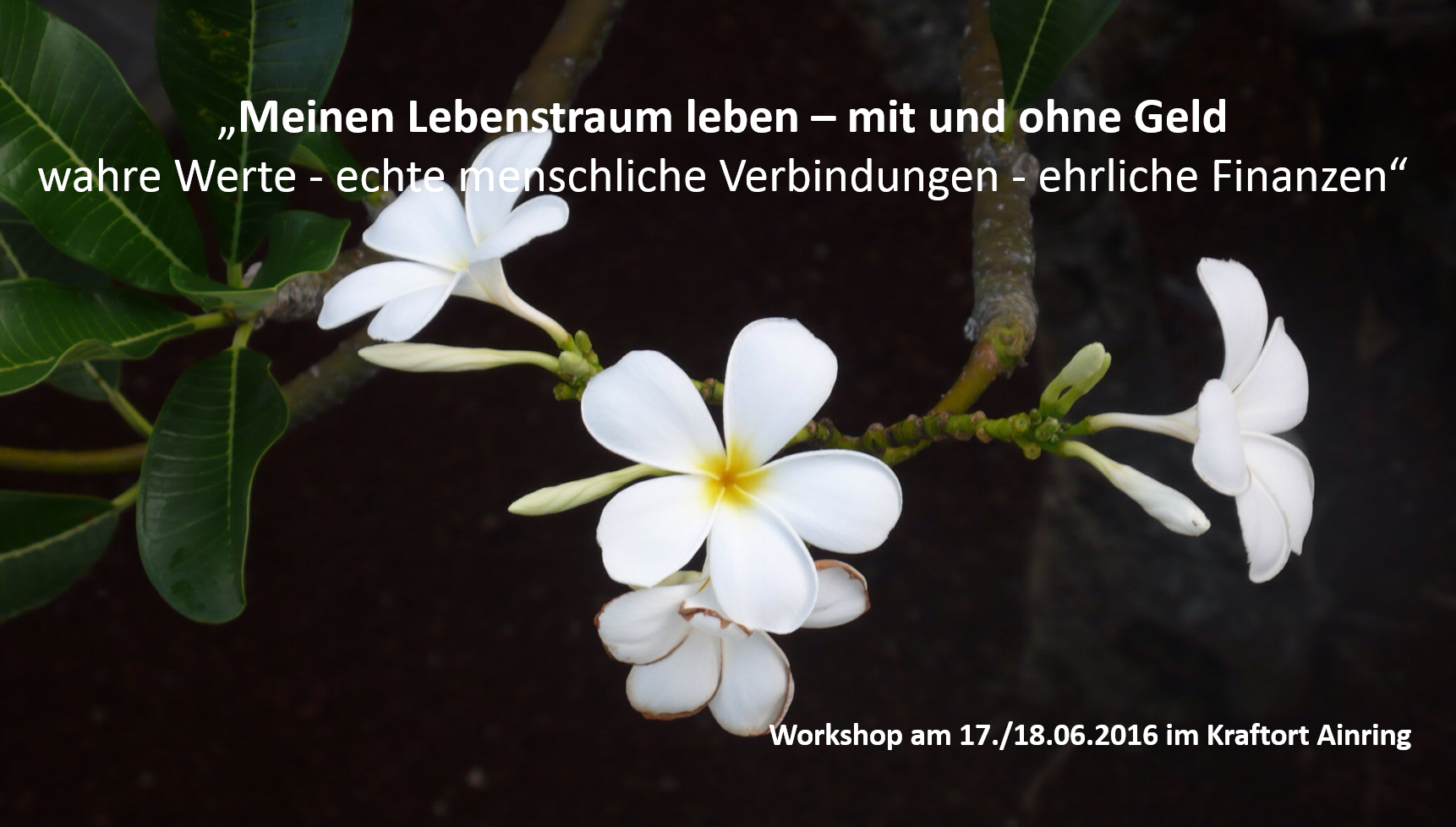 2016-02-04 Frangipani mit Text